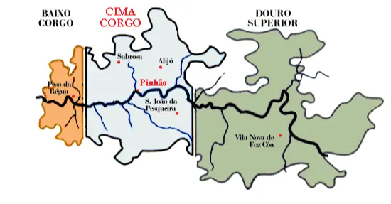 Douro Wine Region in Portugal