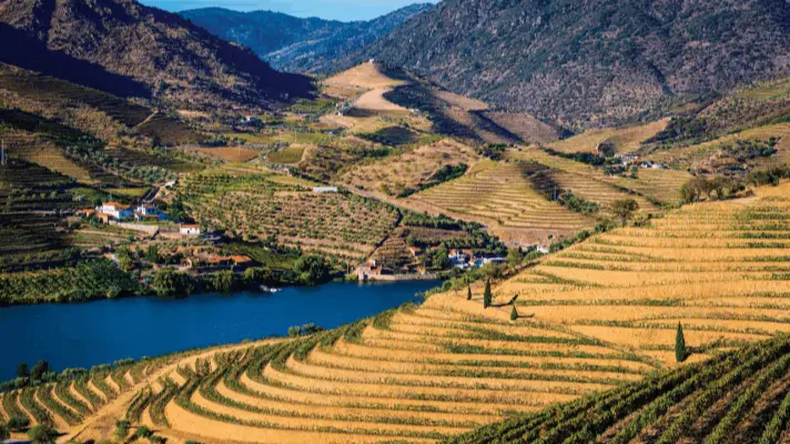 Douro Superior