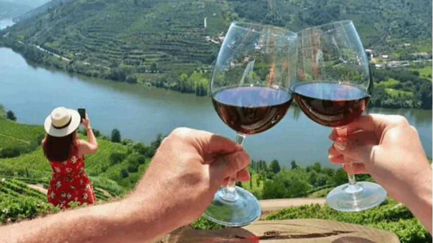 Self-Guided & Pinhão Area Douro Wine Trips