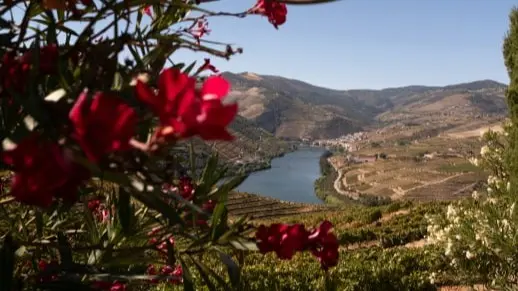April wine tours Douro Valley