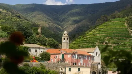 June Douro valley tours