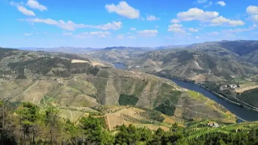 Summer tours Douro Valley