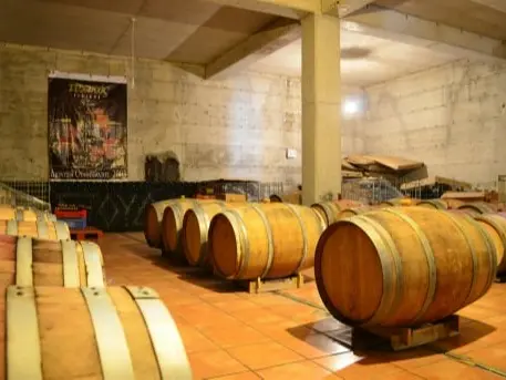 Young winemakers are making natural wines