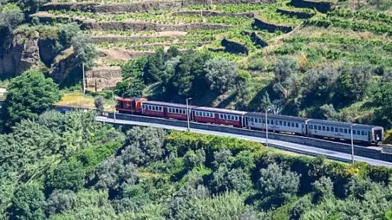 Peso da Régua train