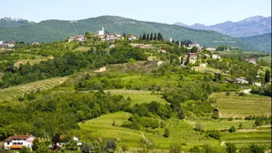 Provesende Douro Valley