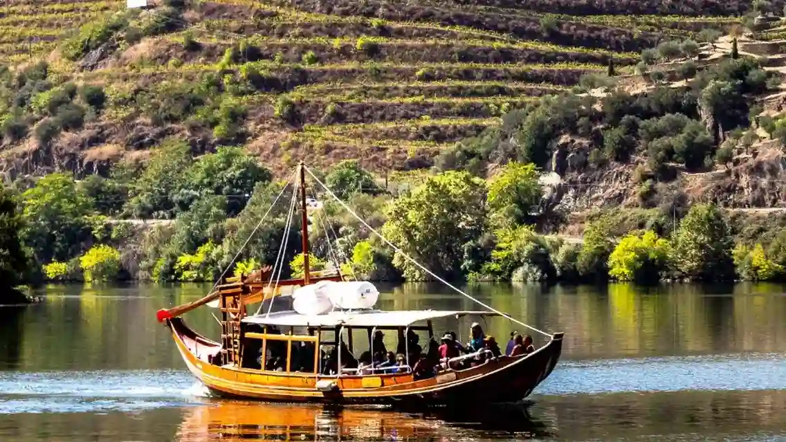 Douro Valley Cruise, Taste, & Lunch Packages