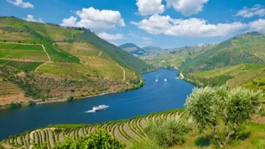 Summer in Douro Valley