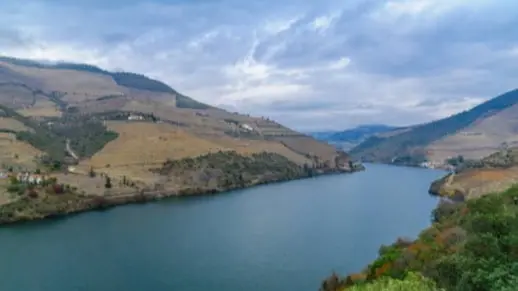 Winter Douro Valley